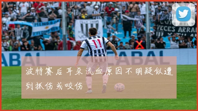 波特赛后耳朵流血原因不明疑似遭到抓伤或咬伤
